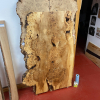 BURRY HORSE CHESTNUT LOG NUMBER 1390 OIL POLISHED SAMPLE SHOWING COLOUR AND FIGURING