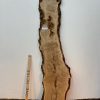 BURRY OAK Natural Waney Edge Slab Planed Finish Hardwood Board 1552-2A Thickness 4.5cm Kiln Dried Seasoned Wildwood Live Edge