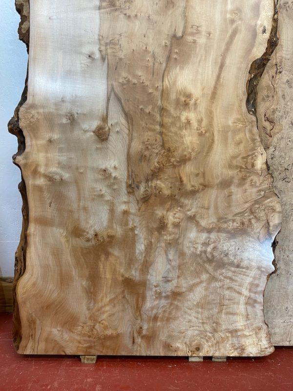 FINE SANDED AND POLISHED SAMPLE OF TREE NUMBER 1580A (BOARD NO. 4) HARDWAX OIL FINISH.