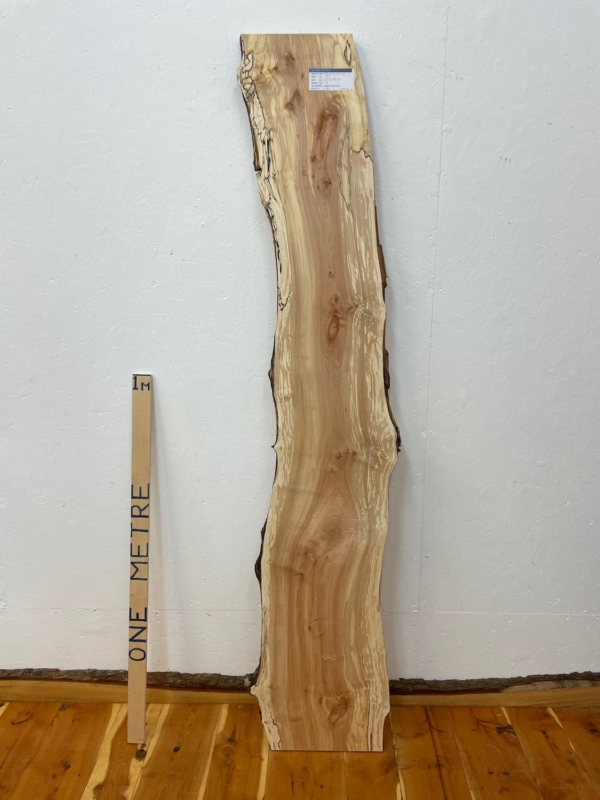 SPALTED BIRCH Natural Waney Edge Slab Planed Finish Hardwood Board 1645-4 Thickness 3cm Kiln Dried Seasoned Live Edge Wildwood