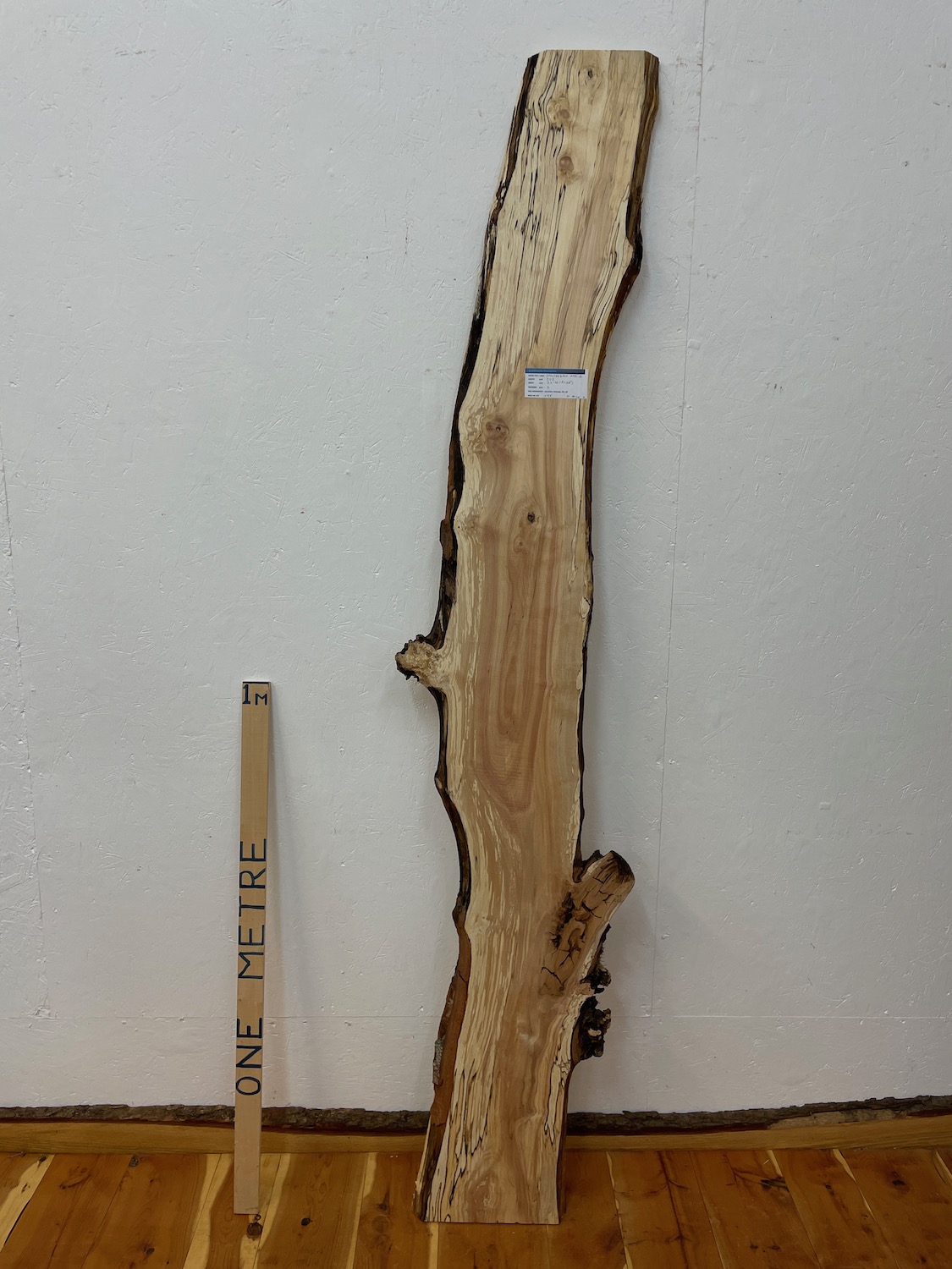 SPALTED BIRCH Natural Waney Edge Slab Planed Finish Hardwood Board 1645-2 Thickness 3cm Kiln Dried Seasoned Live Edge Wildwood