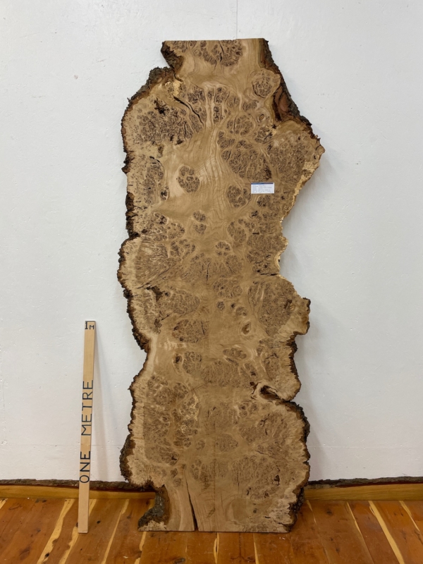 BURR OAK Natural Waney Edge Slab Milled Finish Hardwood Board 1547A-10A Thickness 5cm Kiln Dried Seasoned Live Edge Desktops Coffee Tabletops Wildwood Dining Tabletops Worktops Wallart Headboards