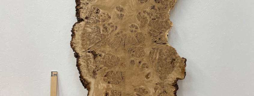 BURR OAK Natural Waney Edge Slab Milled Finish Hardwood Board 1547A-10A Thickness 5cm Kiln Dried Seasoned Live Edge Desktops Coffee Tabletops Wildwood Dining Tabletops Worktops Wallart Headboards