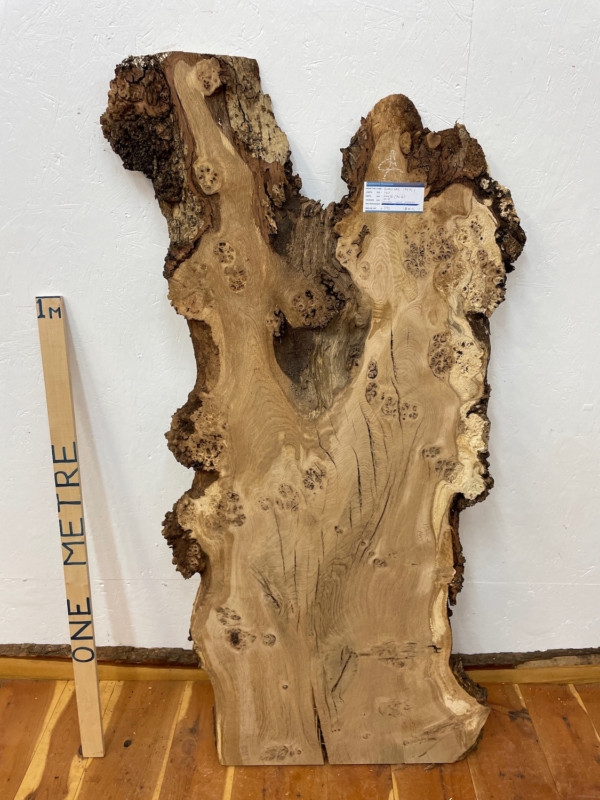BURRY OAK Natural Waney Edge Slab Milled Finish Hardwood Board 1547C-1 Thickness 4.8cm Kiln Dried Seasoned Live Edge Desktops Coffee Tabletops Wildwood