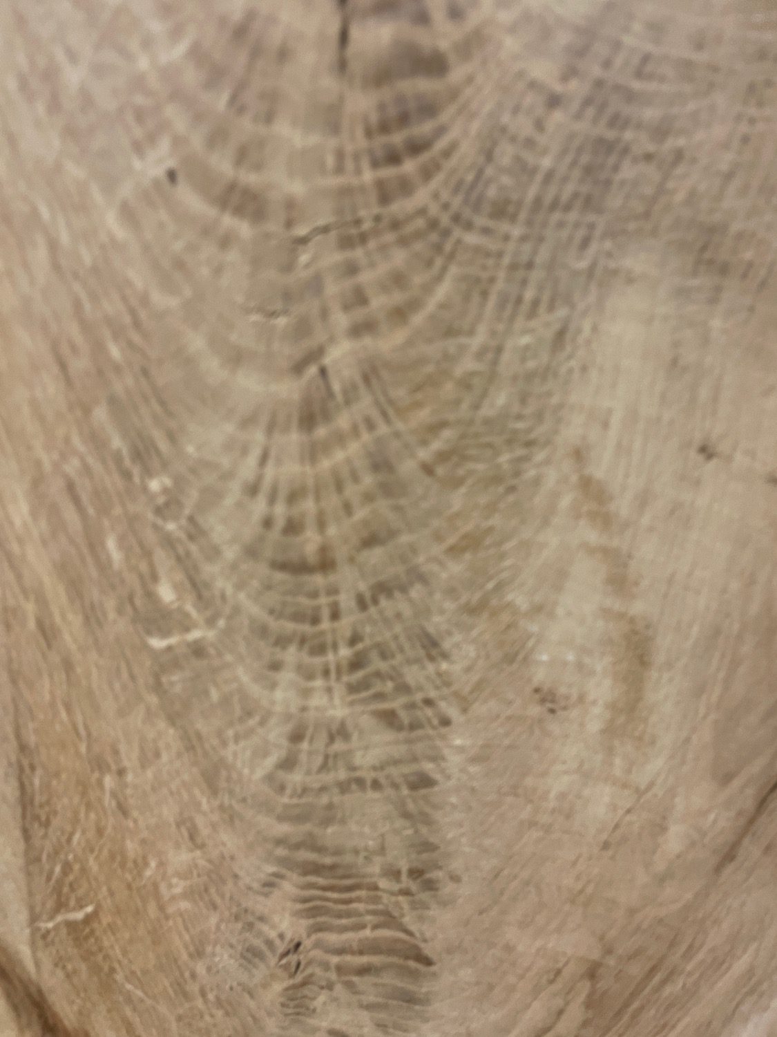 BURRY OAK Natural Waney Edge Slab Milled Finish Hardwood Board 1547C-3 Thickness 4.8cm Kiln Dried Seasoned Live Edge Desktops Coffee Tabletops Wildwood - Image 8