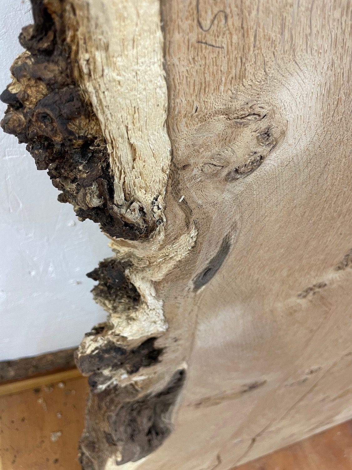 BURRY OAK Natural Waney Edge Slab Milled Finish Hardwood Board 1547C-3 Thickness 4.8cm Kiln Dried Seasoned Live Edge Desktops Coffee Tabletops Wildwood - Image 19