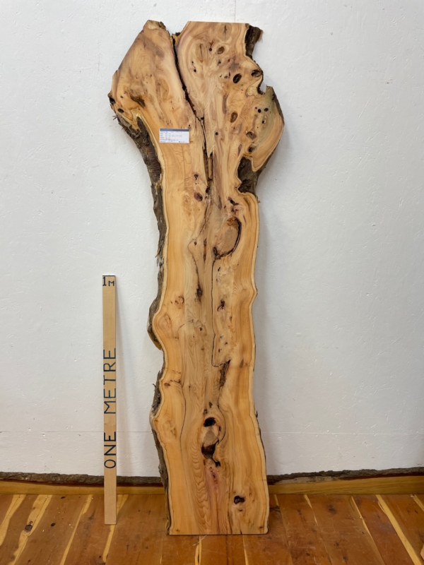 YEW Natural Waney Edge Slab Planed Finish Hardwood Board 1592-3 Thickness 5cm Kiln Dried Seasoned Live Edge Wallart Wildwood
