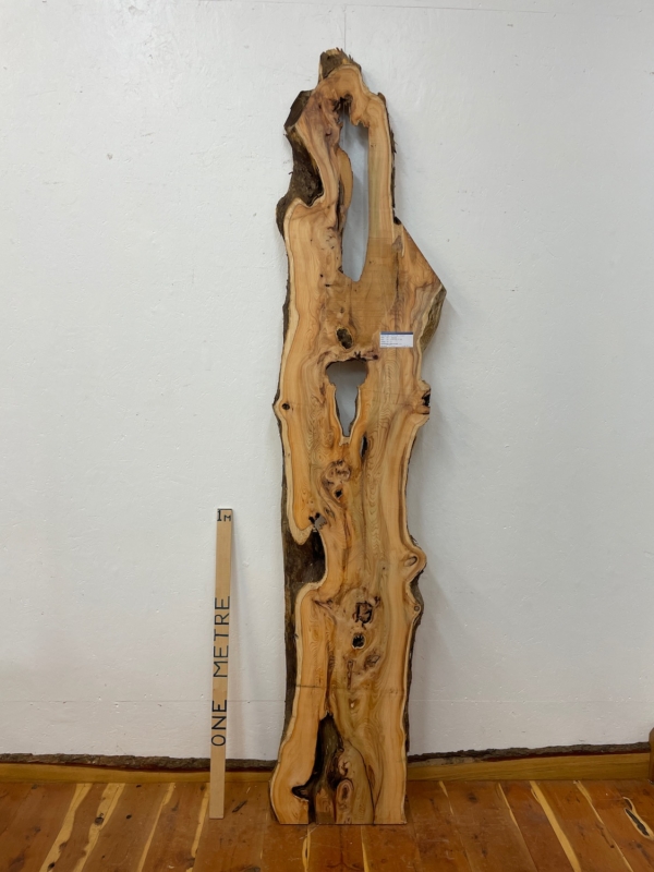 YEW Natural Waney Edge Slab Planed Finish Hardwood Board 1592-6 Thickness 5cm Kiln Dried Seasoned Live Edge Wallart Wildwood
