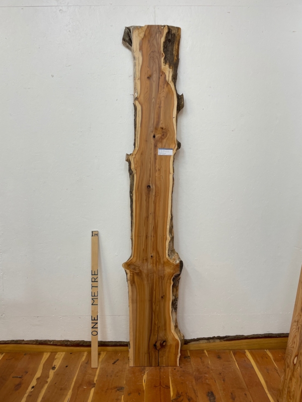 YEW Natural Waney Edge Slab Planed Finish Hardwood Board 1594-4 Thickness 5cm Kiln Dried Seasoned Live Edge Wallart Wildwood