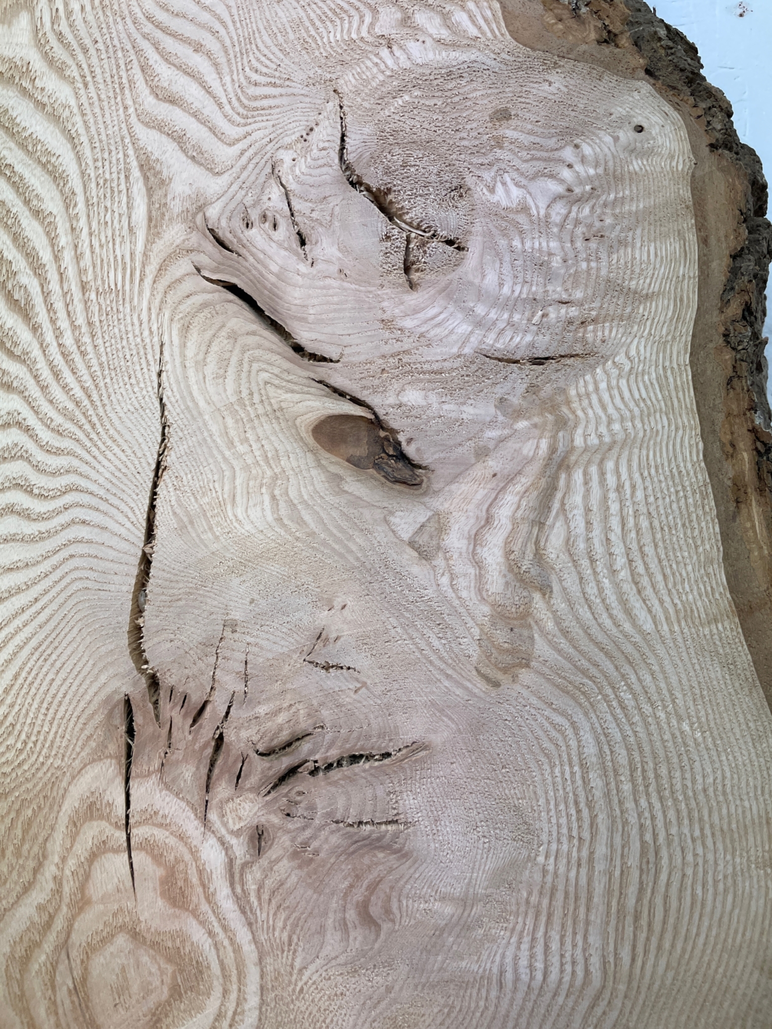 ASH Single Waney Natural Edge MILLED Finish Hardwood Board 1537B-2 Thickness 6.2cm Kiln Dried Seasoned Live Edge - Image 7