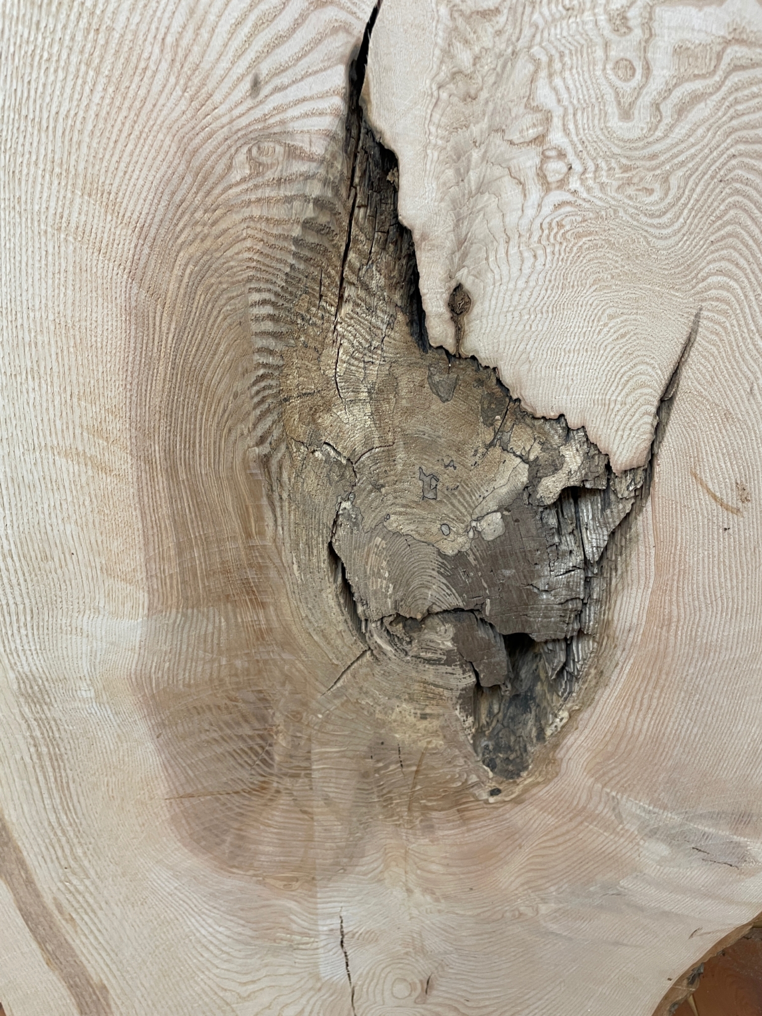 ASH Single Waney Natural Edge MILLED Finish Hardwood Board 1537B-2 Thickness 6.2cm Kiln Dried Seasoned Live Edge - Image 8