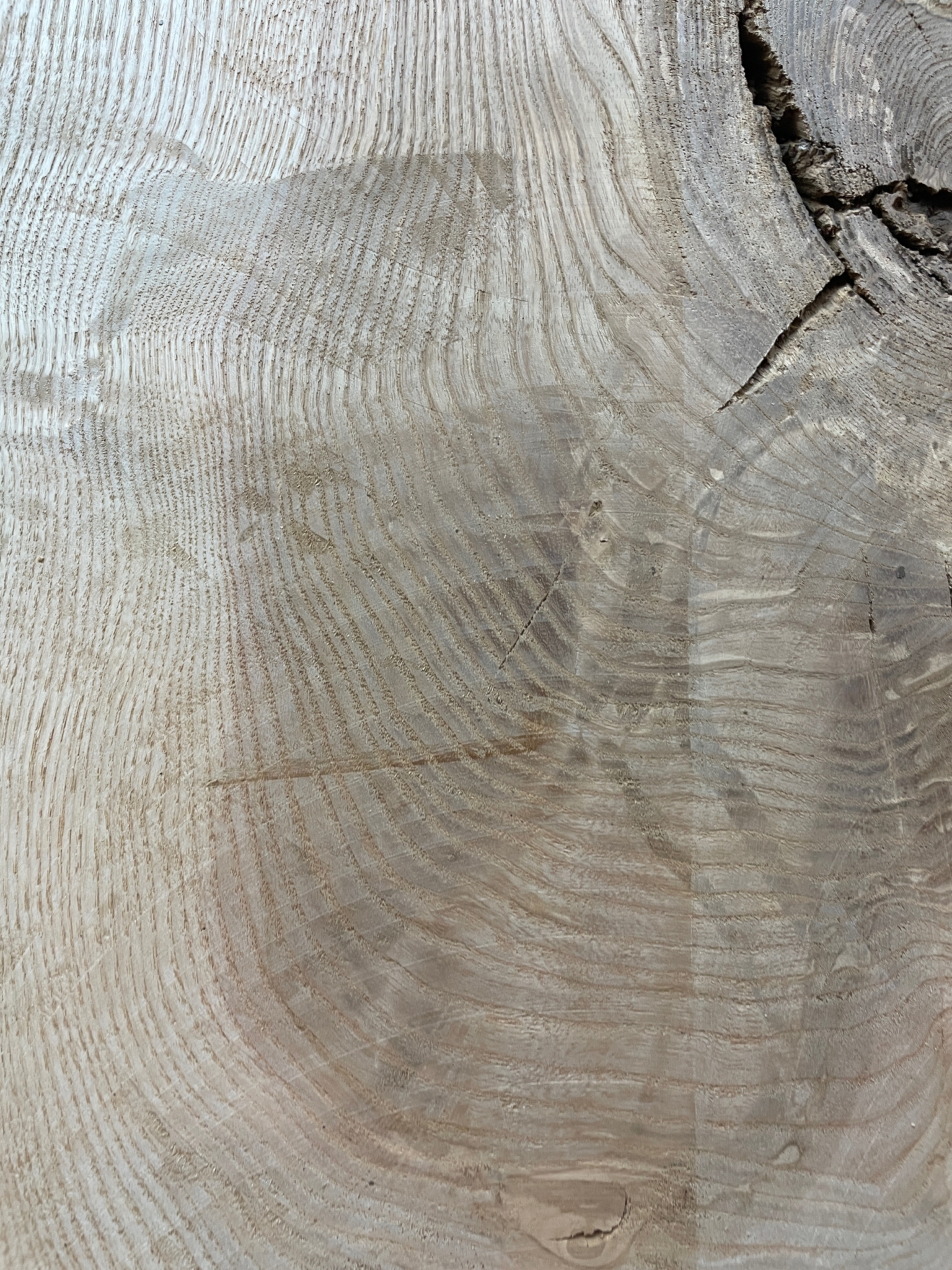 ASH Single Waney Natural Edge MILLED Finish Hardwood Board 1537B-2 Thickness 6.2cm Kiln Dried Seasoned Live Edge - Image 11