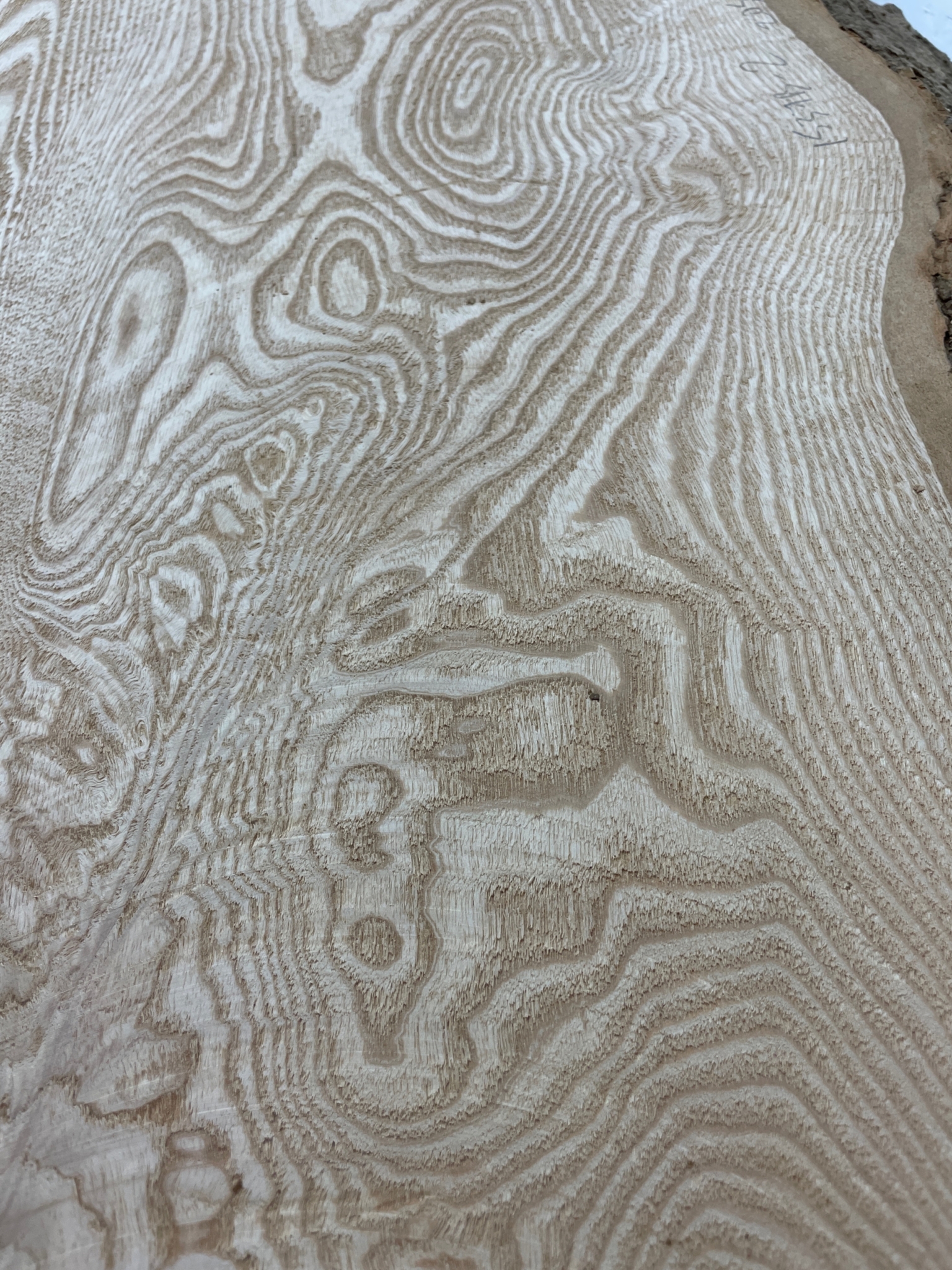 ASH Single Waney Natural Edge MILLED Finish Hardwood Board 1537B-2 Thickness 6.2cm Kiln Dried Seasoned Live Edge - Image 13