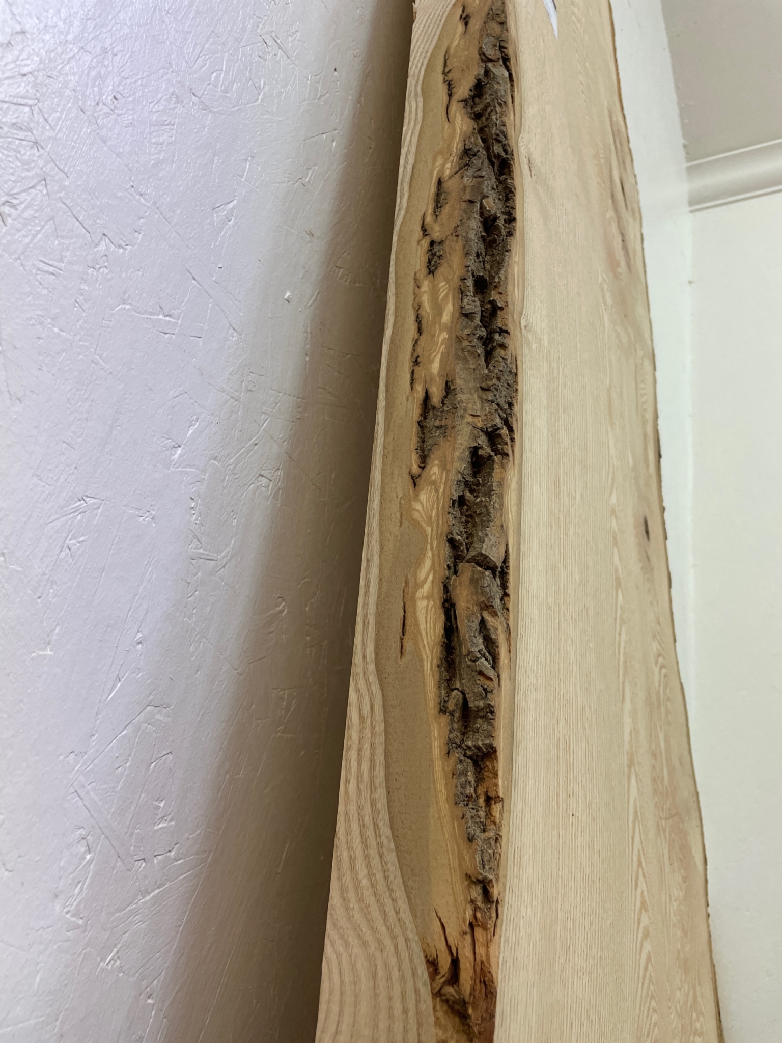 ASH Single Waney Natural Edge MILLED Finish Hardwood Board 1537B-2 Thickness 6.2cm Kiln Dried Seasoned Live Edge - Image 16