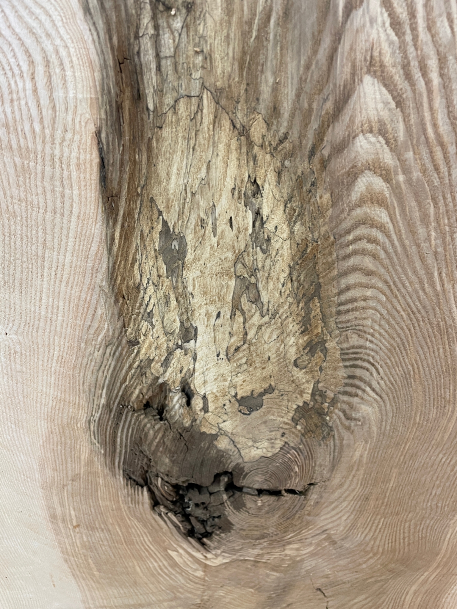 ASH Single Waney Natural Edge MILLED Finish Hardwood Board 1537B-2 Thickness 6.2cm Kiln Dried Seasoned Live Edge - Image 20