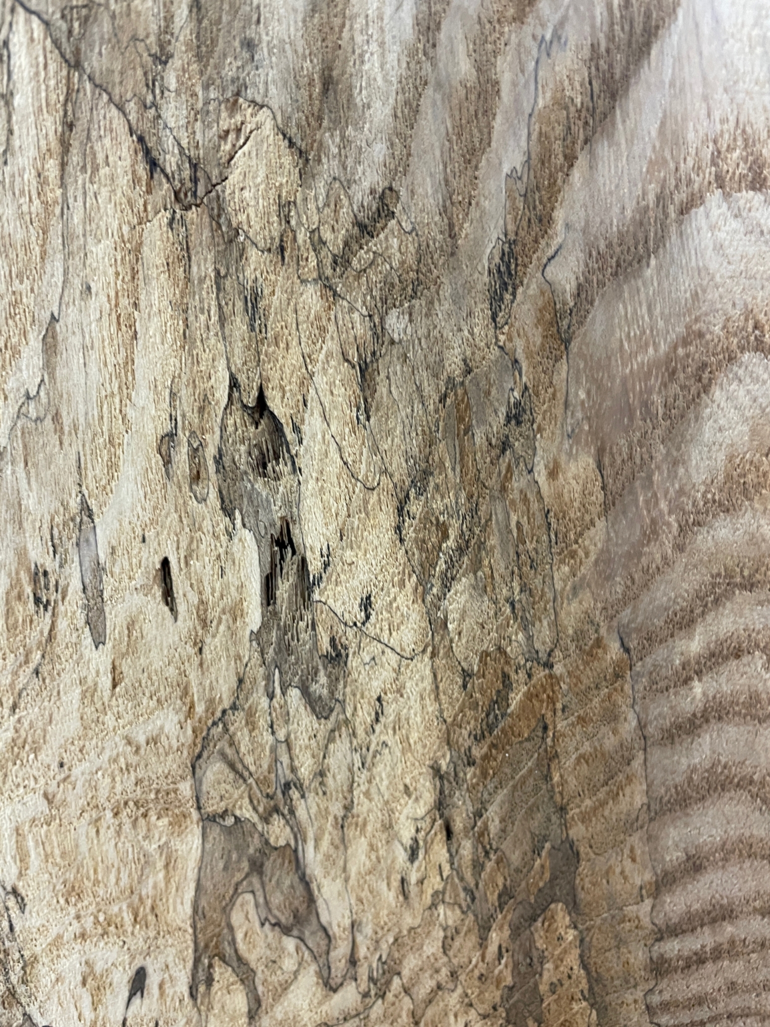 ASH Single Waney Natural Edge MILLED Finish Hardwood Board 1537B-2 Thickness 6.2cm Kiln Dried Seasoned Live Edge - Image 22