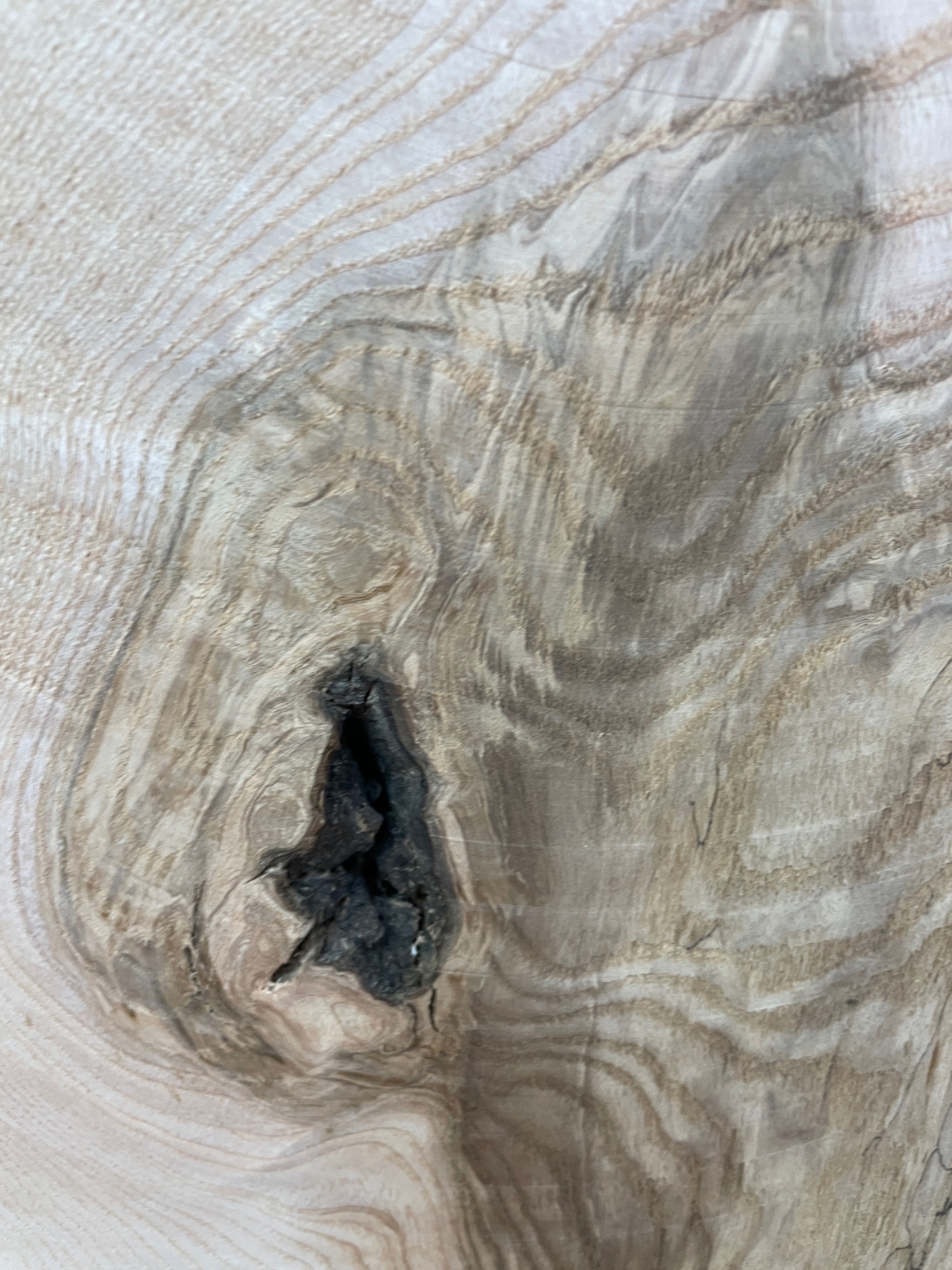 ASH Single Waney Natural Edge MILLED Finish Hardwood Board 1537B-2 Thickness 6.2cm Kiln Dried Seasoned Live Edge - Image 23