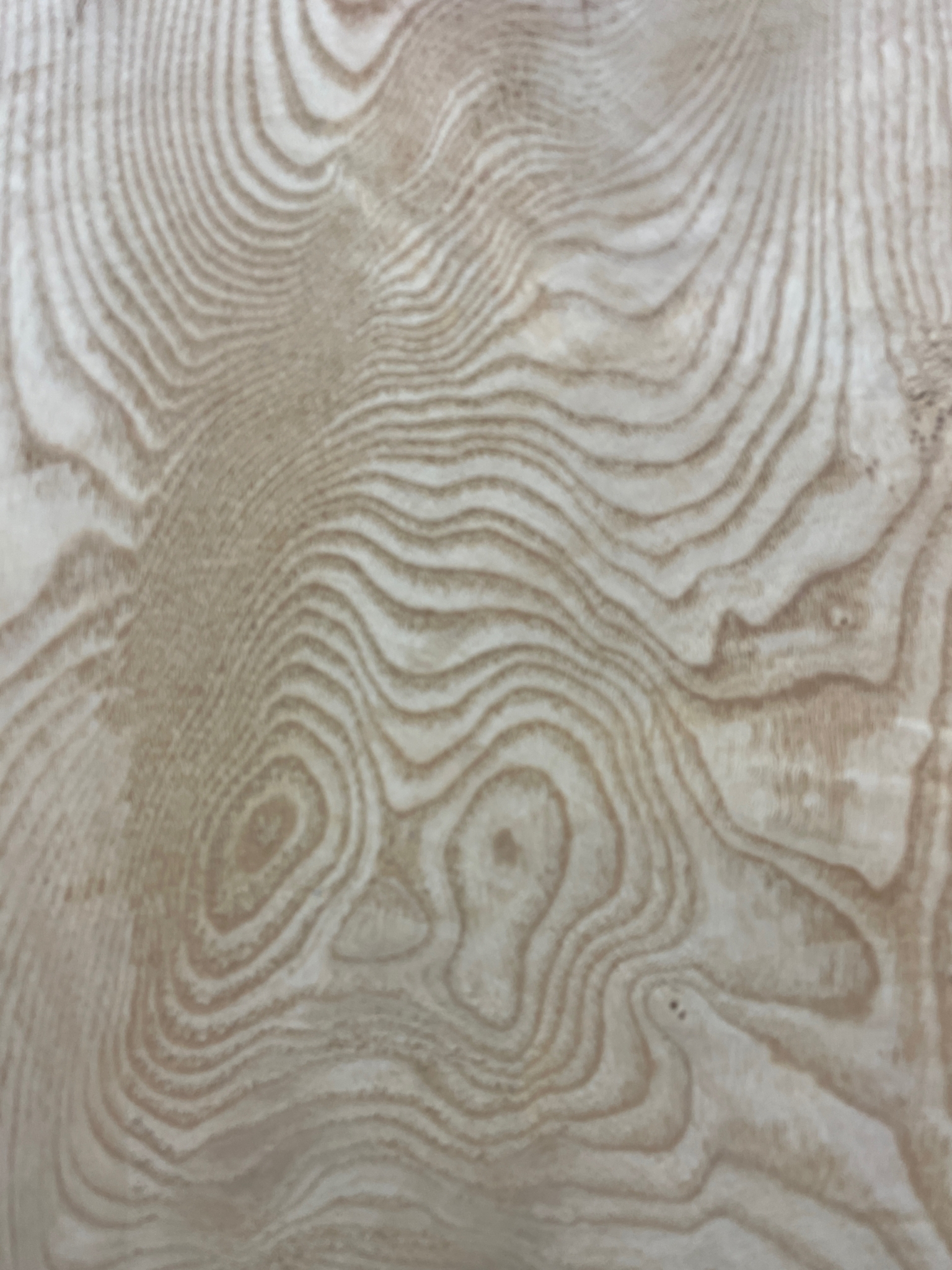 ASH Single Waney Natural Edge MILLED Finish Hardwood Board 1537B-8 Thickness 6.2cm Kiln Dried Seasoned Live Edge Tabletops Shelves Mantels - Image 6