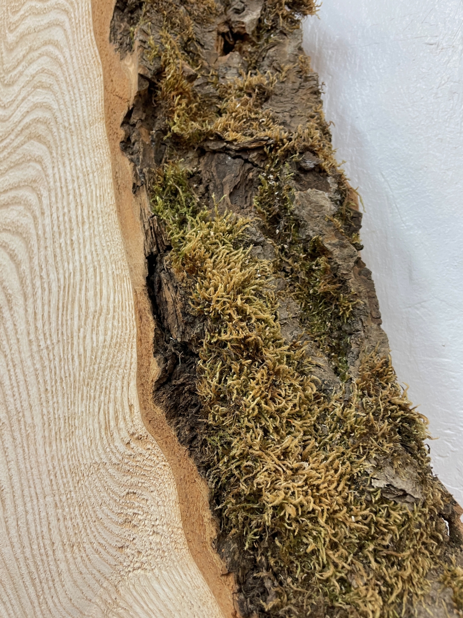 ASH Single Waney Natural Edge MILLED Finish Hardwood Board 1537B-8 Thickness 6.2cm Kiln Dried Seasoned Live Edge Tabletops Shelves Mantels - Image 10