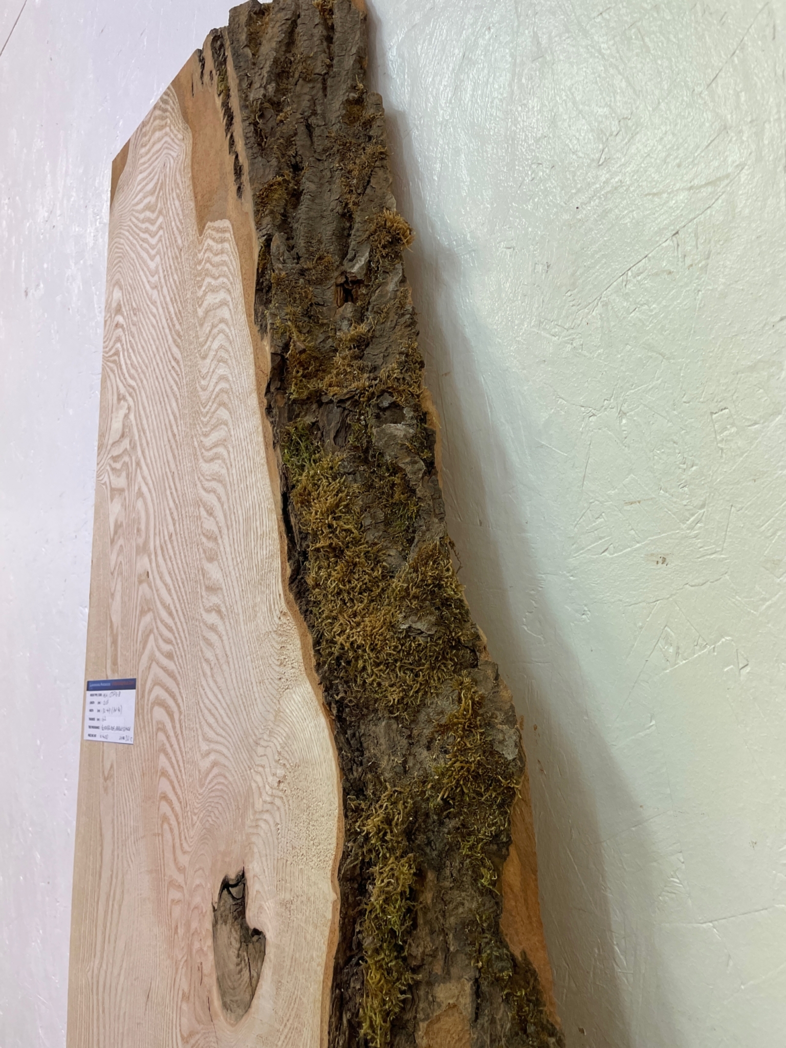 ASH Single Waney Natural Edge MILLED Finish Hardwood Board 1537B-8 Thickness 6.2cm Kiln Dried Seasoned Live Edge Tabletops Shelves Mantels - Image 12