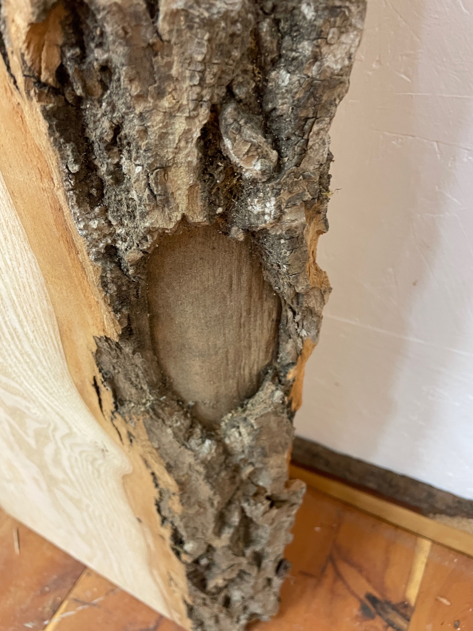 ASH Single Waney Natural Edge MILLED Finish Hardwood Board 1537B-8 Thickness 6.2cm Kiln Dried Seasoned Live Edge Tabletops Shelves Mantels - Image 17