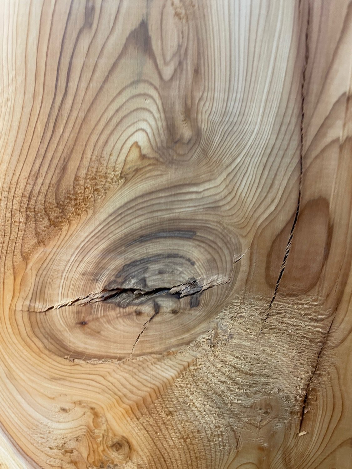 YEW Natural Waney Edge Slab Planed Finish Hardwood Board 1594-2 Thickness 4.5cm Kiln Dried Seasoned Live Edge Wallart Wildwood - Image 8