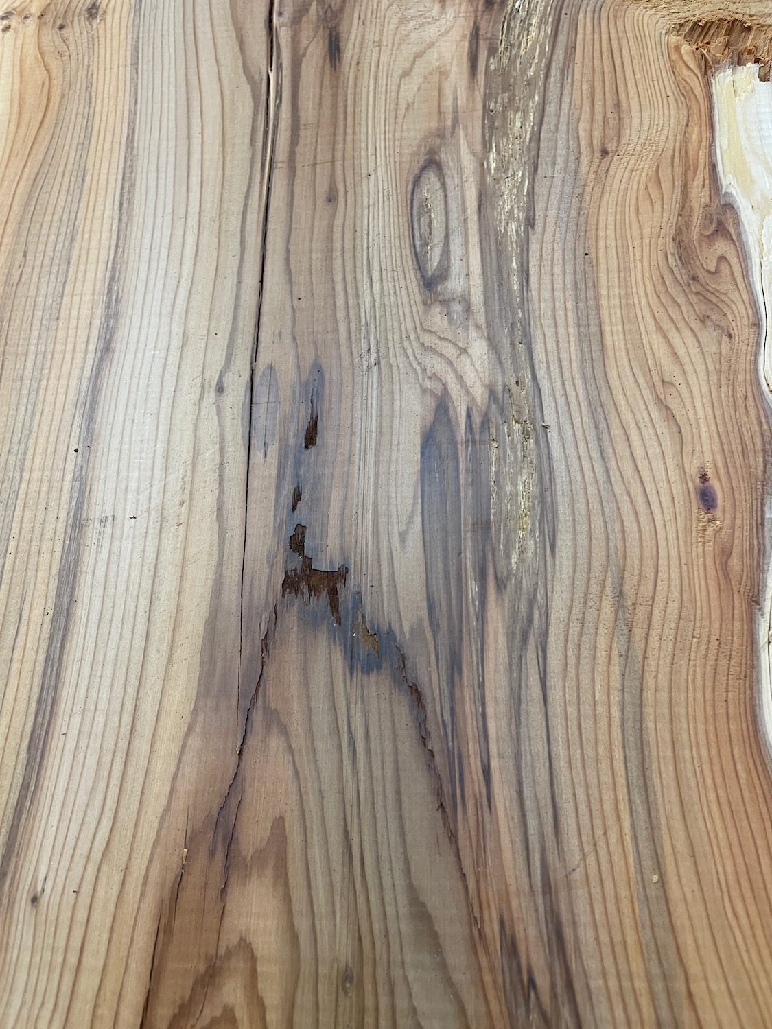 YEW Natural Waney Edge Slab Planed Finish Hardwood Board 1594-2 Thickness 4.5cm Kiln Dried Seasoned Live Edge Wallart Wildwood - Image 9