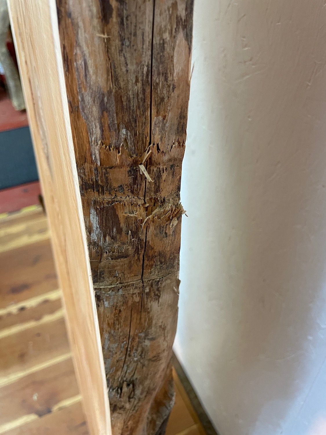 YEW Natural Waney Edge Slab Planed Finish Hardwood Board 1594-2 Thickness 4.5cm Kiln Dried Seasoned Live Edge Wallart Wildwood - Image 12