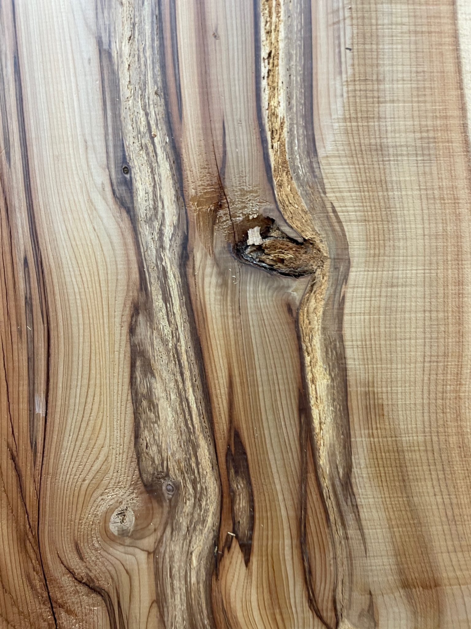 YEW Natural Waney Edge Slab Planed Finish Hardwood Board 1594-2 Thickness 4.5cm Kiln Dried Seasoned Live Edge Wallart Wildwood - Image 15