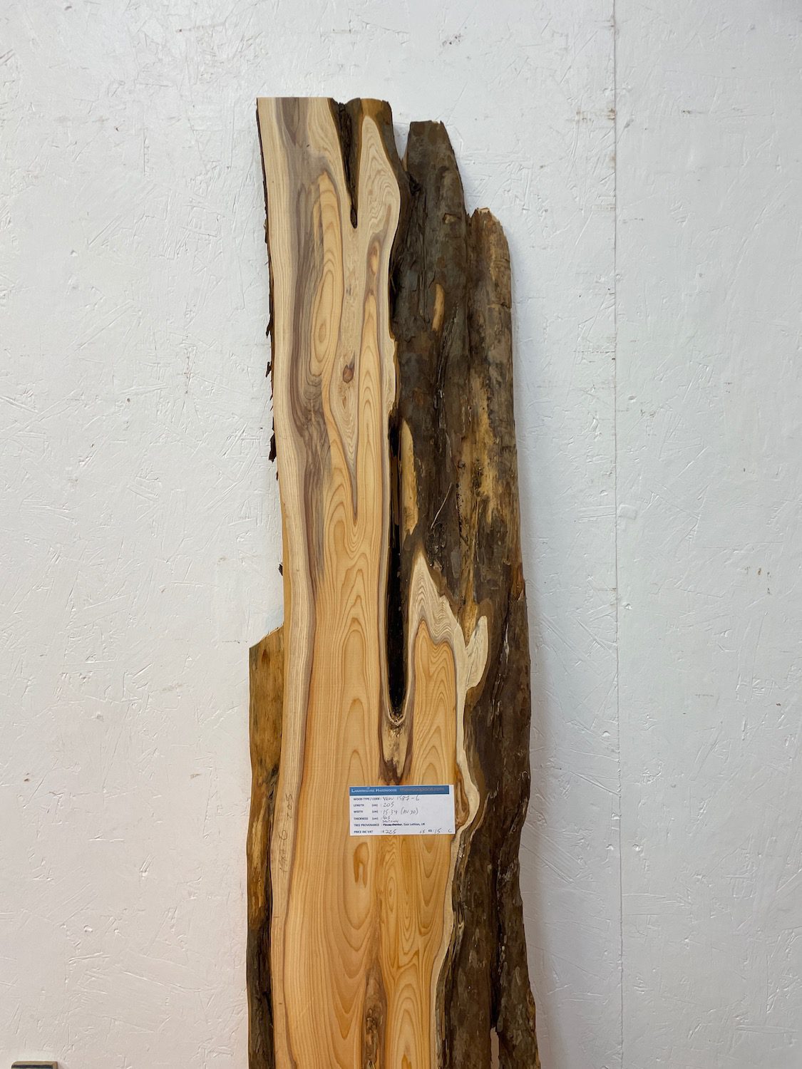 YEW Natural Waney Edge Slab Planed Finish Hardwood Board 1587-6 Thickness 4.5cm Kiln Dried Seasoned Live Edge Wallart Wildwood - Image 4