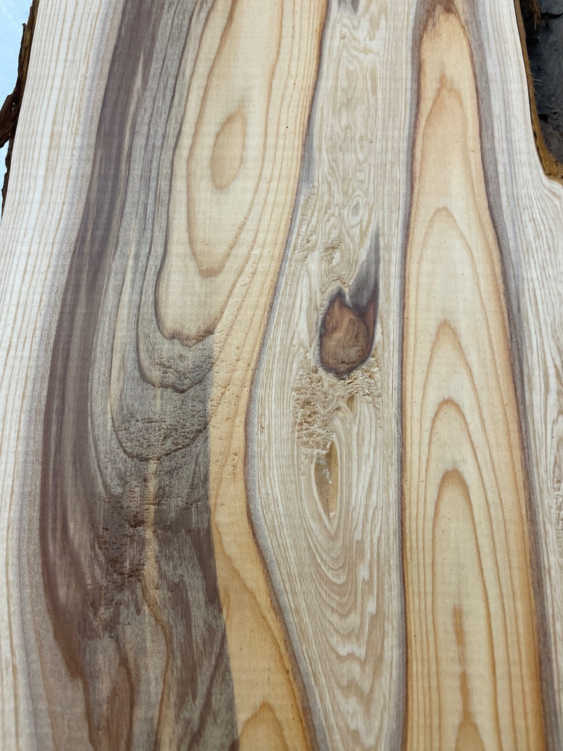 YEW Natural Waney Edge Slab Planed Finish Hardwood Board 1587-6 Thickness 4.5cm Kiln Dried Seasoned Live Edge Wallart Wildwood - Image 6