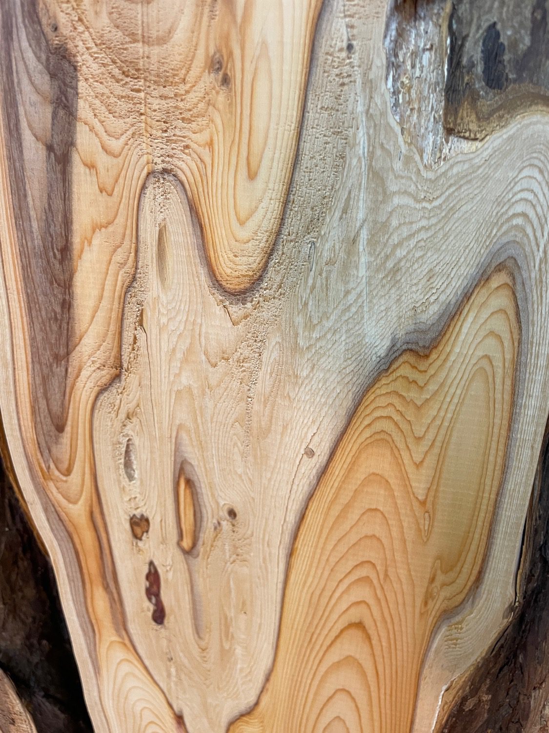 YEW Natural Waney Edge Slab Planed Finish Hardwood Board 1587-6 Thickness 4.5cm Kiln Dried Seasoned Live Edge Wallart Wildwood - Image 7