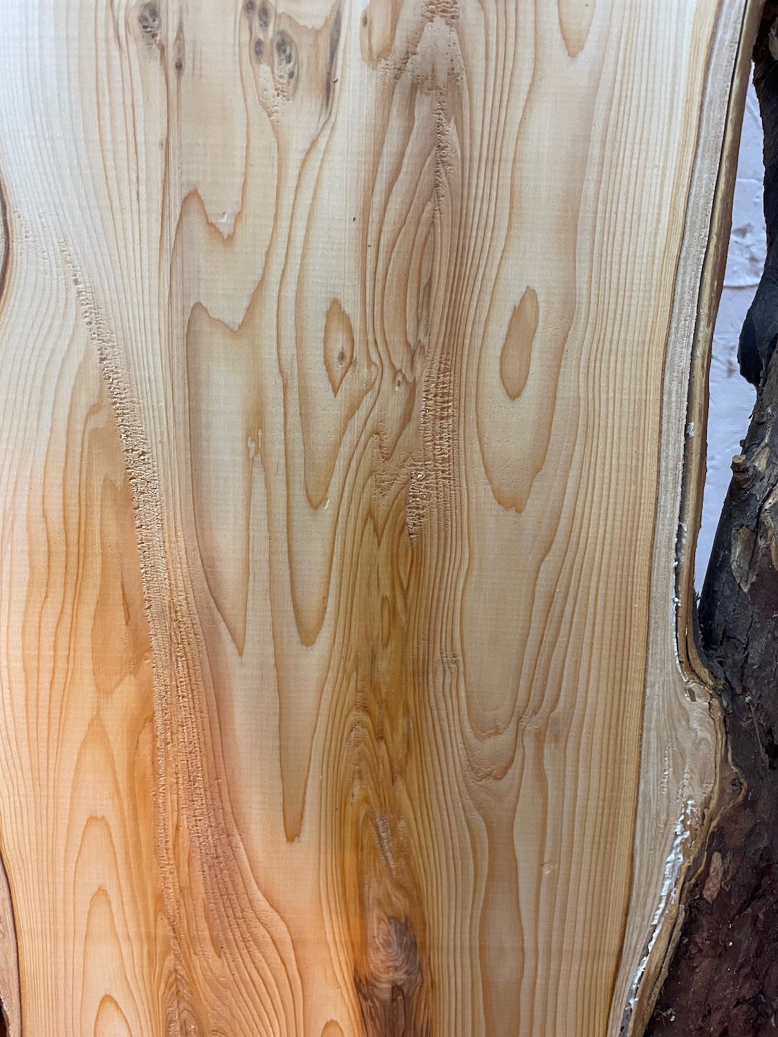 YEW Natural Waney Edge Slab Planed Finish Hardwood Board 1587-6 Thickness 4.5cm Kiln Dried Seasoned Live Edge Wallart Wildwood - Image 8