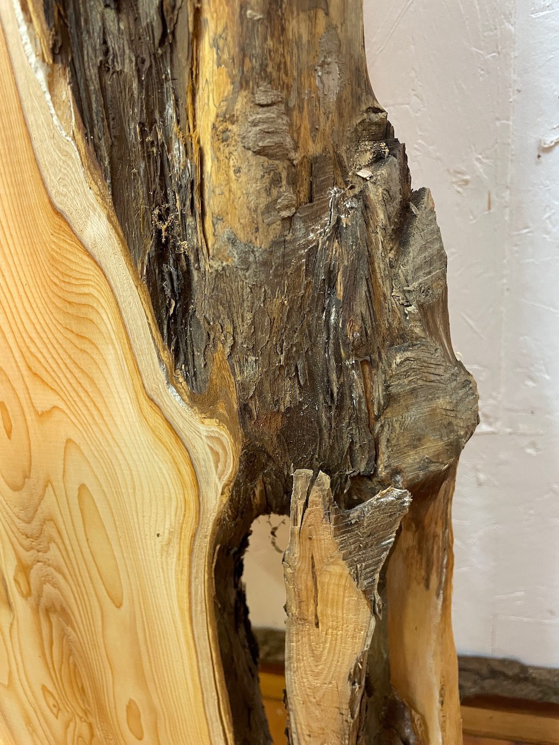 YEW Natural Waney Edge Slab Planed Finish Hardwood Board 1587-6 Thickness 4.5cm Kiln Dried Seasoned Live Edge Wallart Wildwood - Image 9