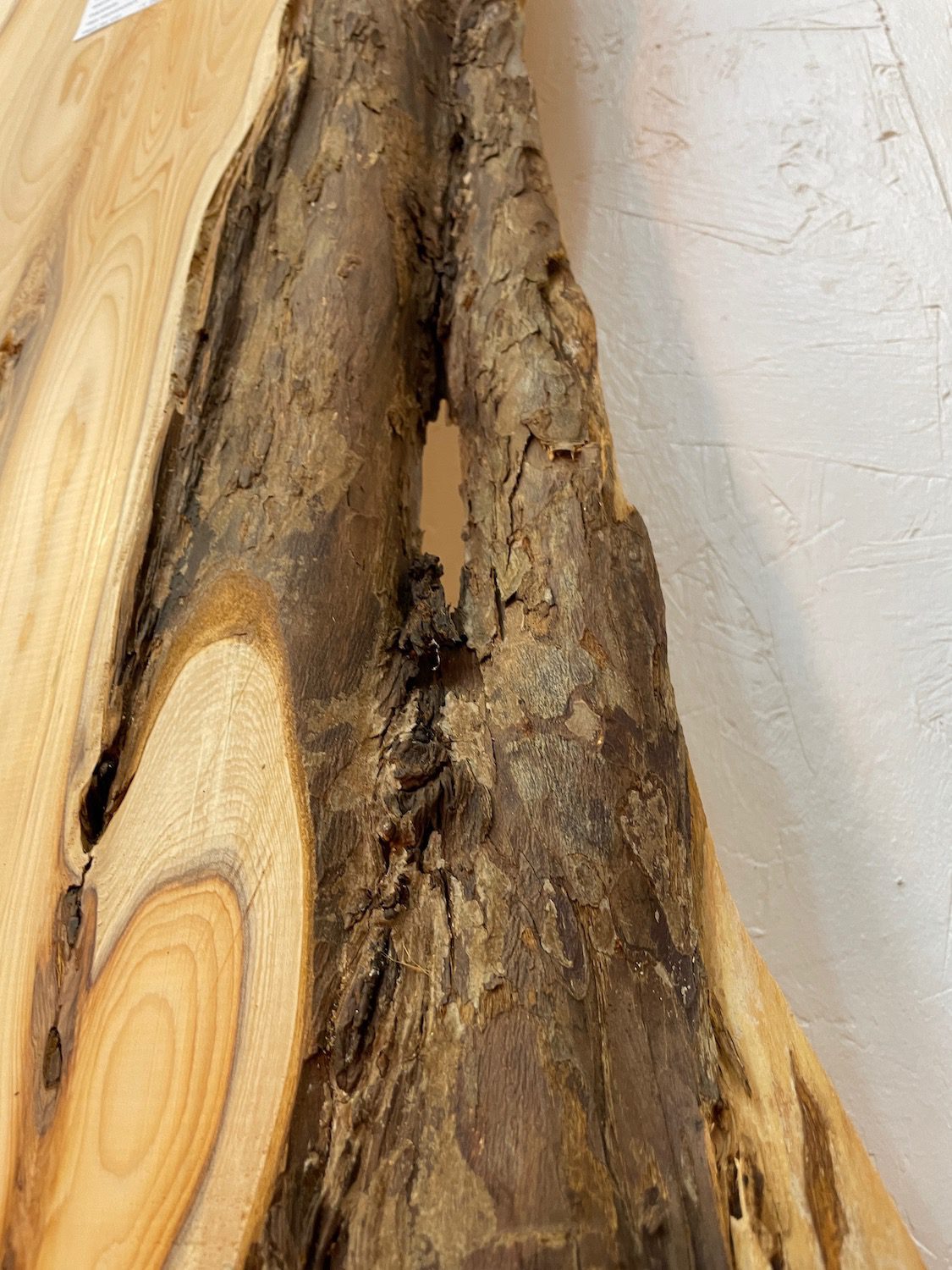 YEW Natural Waney Edge Slab Planed Finish Hardwood Board 1587-6 Thickness 4.5cm Kiln Dried Seasoned Live Edge Wallart Wildwood - Image 10