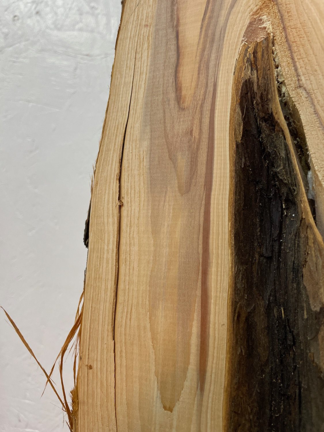 YEW Natural Waney Edge Slab Planed Finish Hardwood Board 1587-6 Thickness 4.5cm Kiln Dried Seasoned Live Edge Wallart Wildwood - Image 11