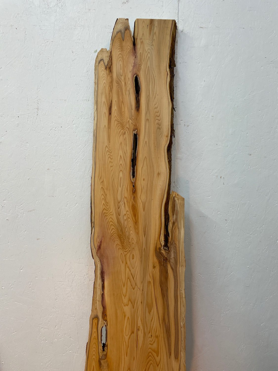 YEW Natural Waney Edge Slab Planed Finish Hardwood Board 1587-6 Thickness 4.5cm Kiln Dried Seasoned Live Edge Wallart Wildwood - Image 13