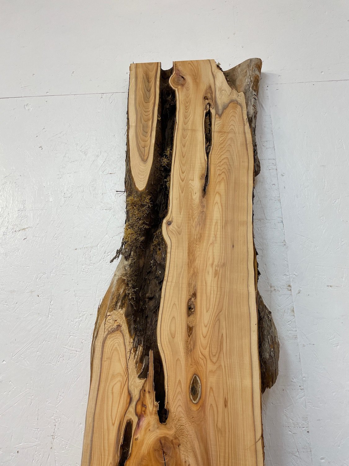 YEW Natural Waney Edge Slab Planed Finish Hardwood Board 1587-1 Thickness 4.8cm Kiln Dried Seasoned Live Edge Wallart Wildwood - Image 4