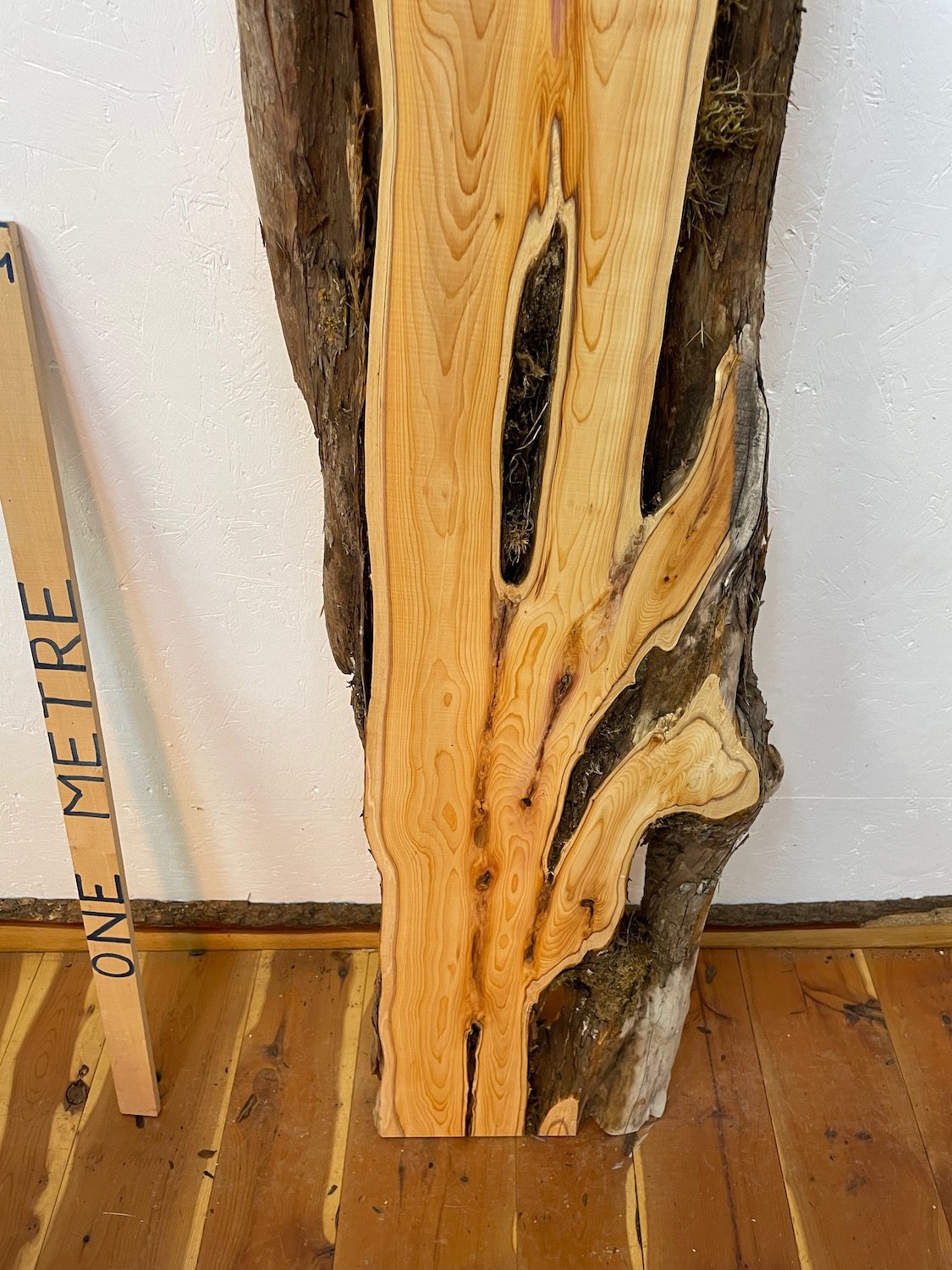 YEW Natural Waney Edge Slab Planed Finish Hardwood Board 1587-1 Thickness 4.8cm Kiln Dried Seasoned Live Edge Wallart Wildwood - Image 6