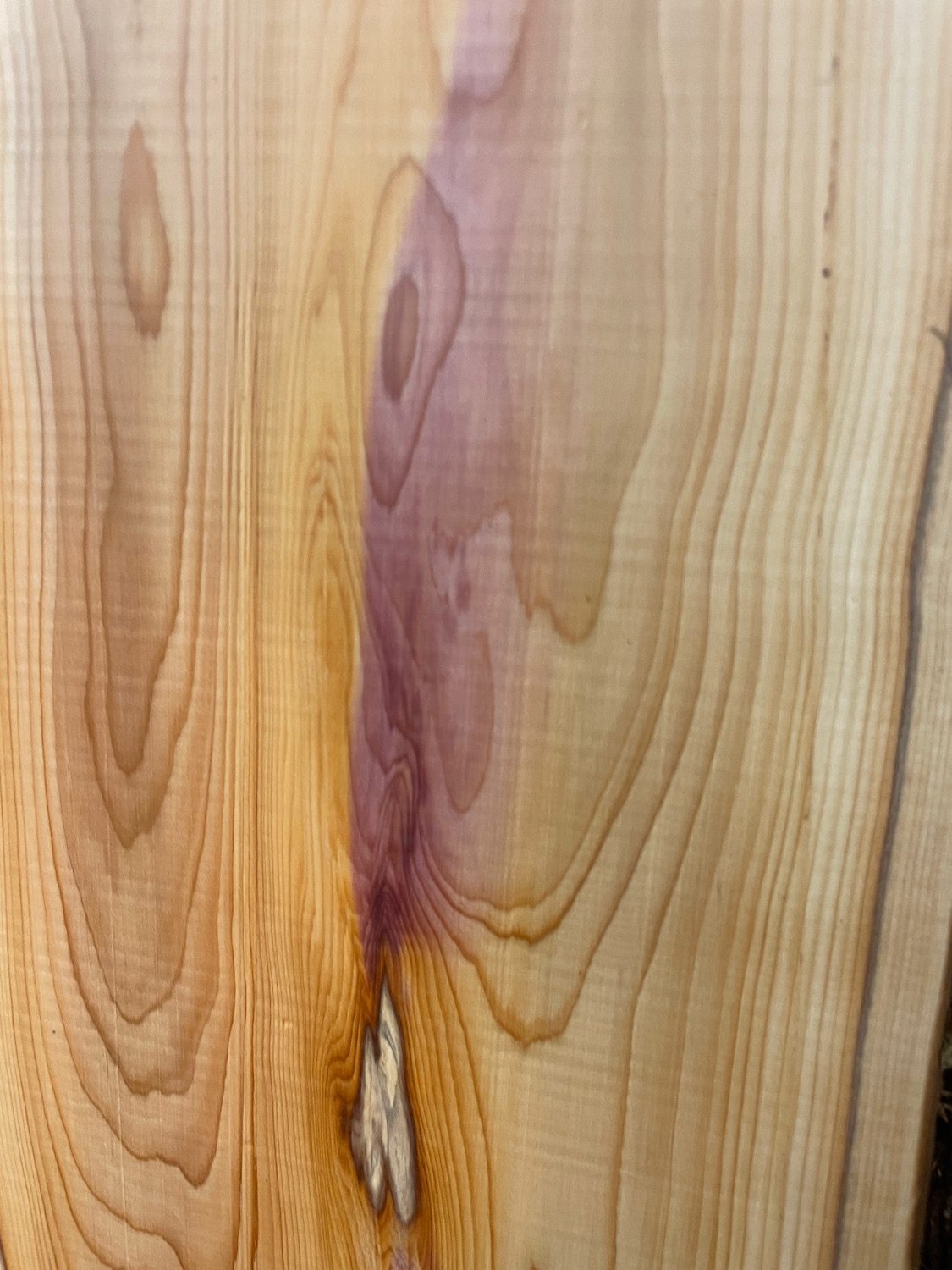 YEW Natural Waney Edge Slab Planed Finish Hardwood Board 1587-1 Thickness 4.8cm Kiln Dried Seasoned Live Edge Wallart Wildwood - Image 7