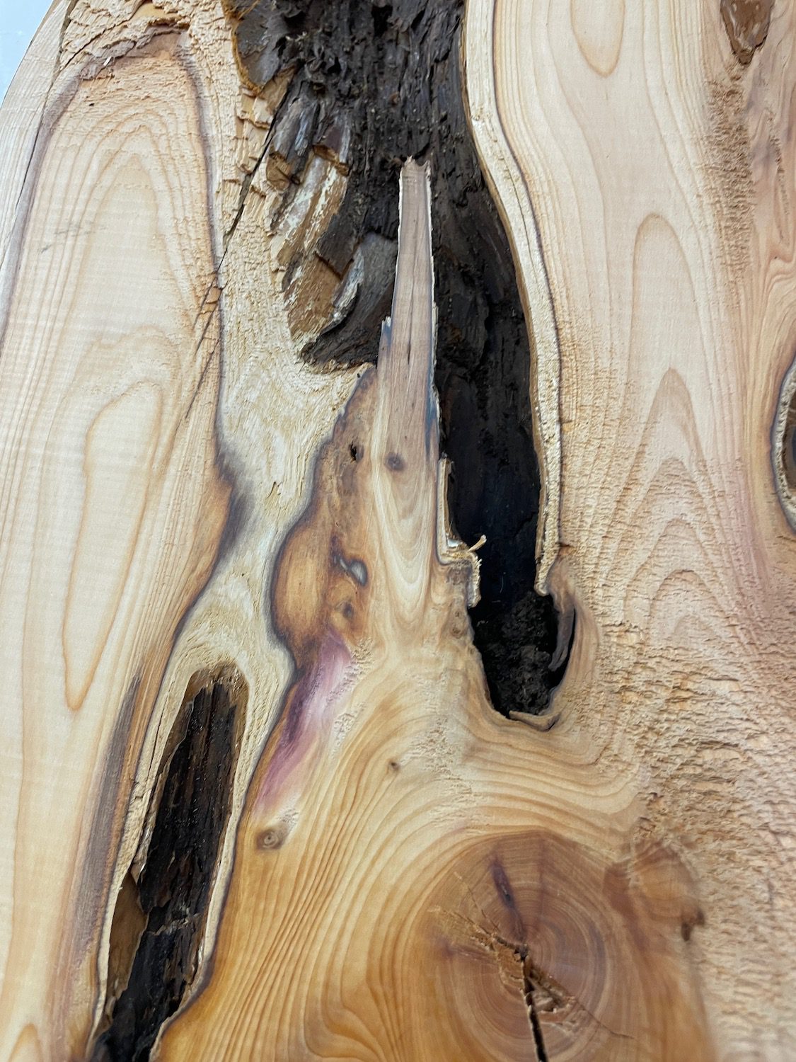 YEW Natural Waney Edge Slab Planed Finish Hardwood Board 1587-1 Thickness 4.8cm Kiln Dried Seasoned Live Edge Wallart Wildwood - Image 8