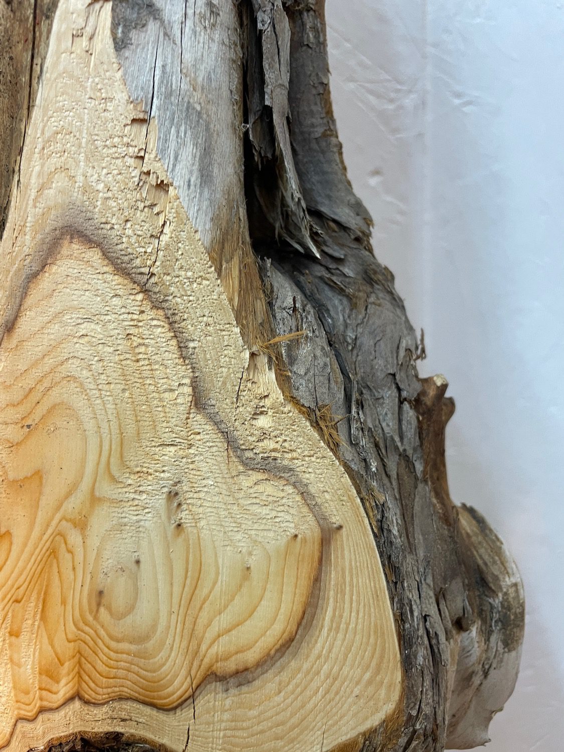 YEW Natural Waney Edge Slab Planed Finish Hardwood Board 1587-1 Thickness 4.8cm Kiln Dried Seasoned Live Edge Wallart Wildwood - Image 13