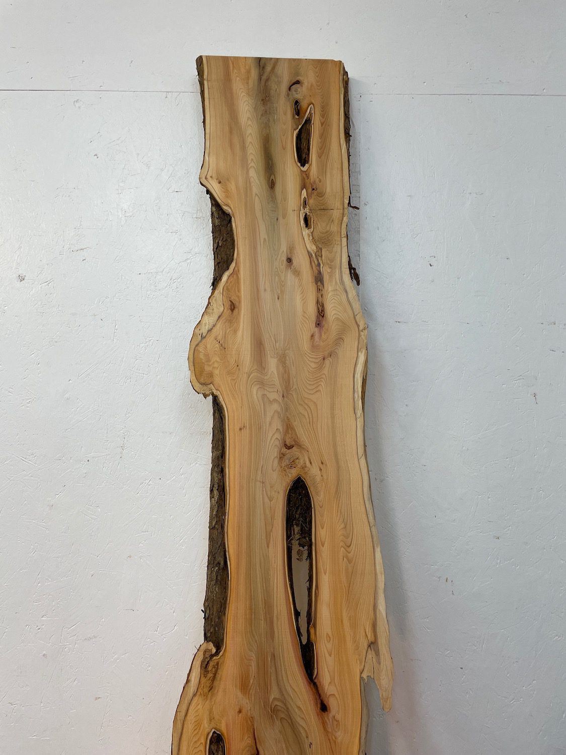 YEW Natural Waney Edge Slab Planed Finish Hardwood Board 1587-1 Thickness 4.8cm Kiln Dried Seasoned Live Edge Wallart Wildwood - Image 16