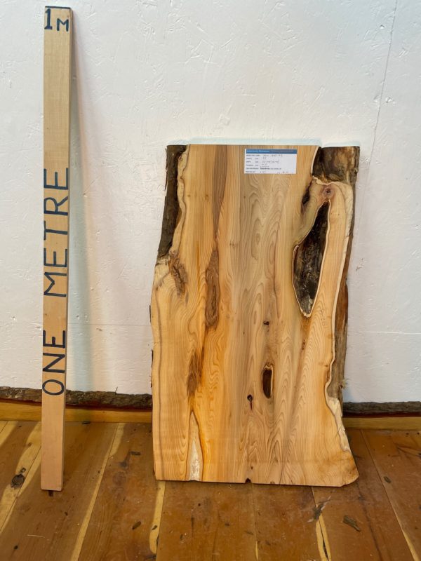 YEW Natural Waney Edge Slab Planed Finish Hardwood Board 1587-4B Thickness 4.8cm Kiln Dried Seasoned Live Edge Wallart Wildwood Offcut
