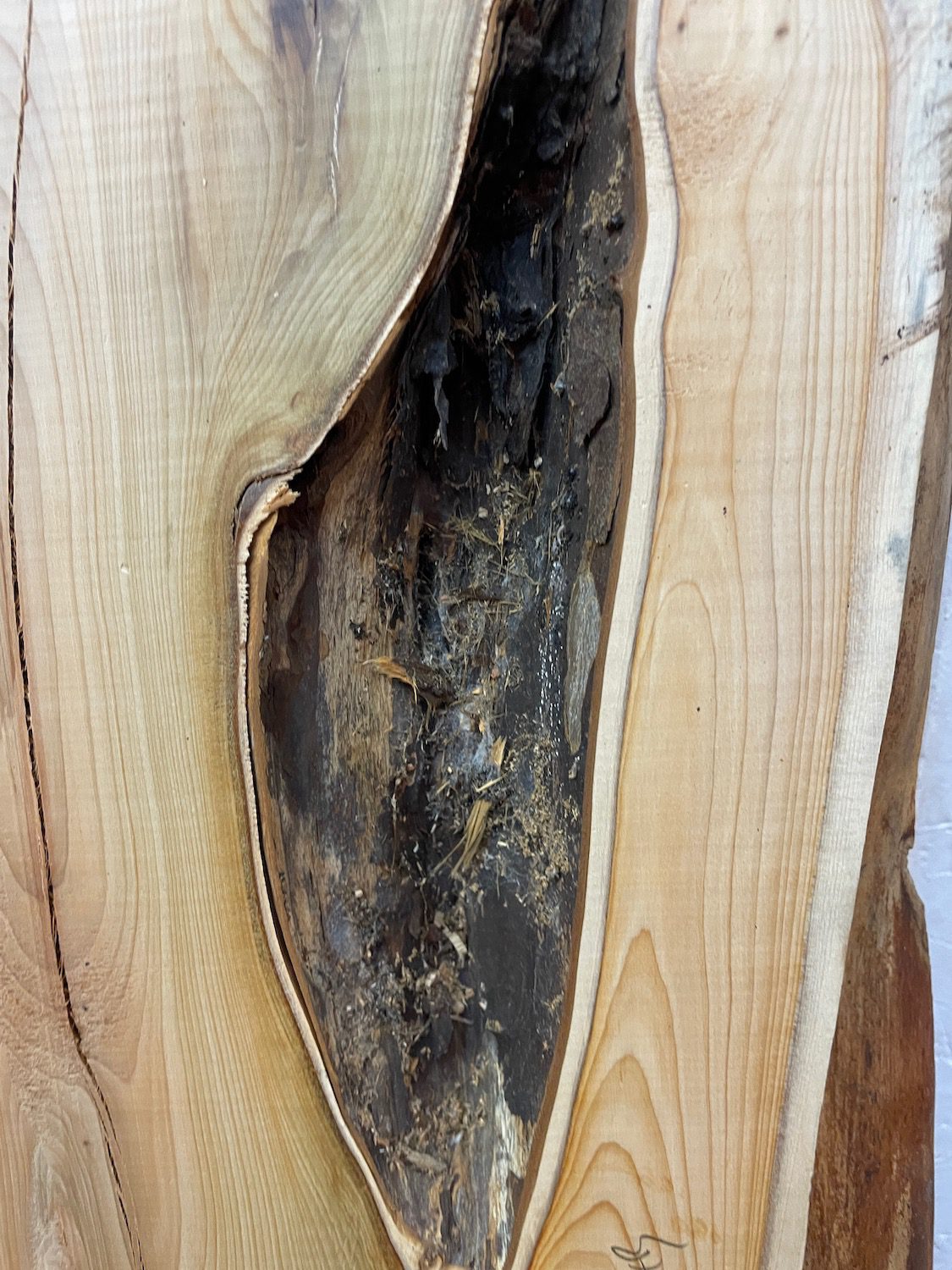 YEW Natural Waney Edge Slab Planed Finish Hardwood Board 1587-4B Thickness 4.8cm Kiln Dried Seasoned Live Edge Wallart Wildwood Offcut - Image 5