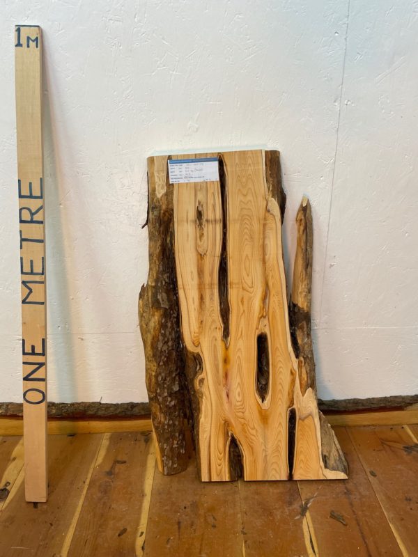 YEW Natural Waney Edge Slab Planed Finish Hardwood Board 1587-5B Thickness 4.5cm Kiln Dried Seasoned Live Edge Wallart Wildwood Offcut