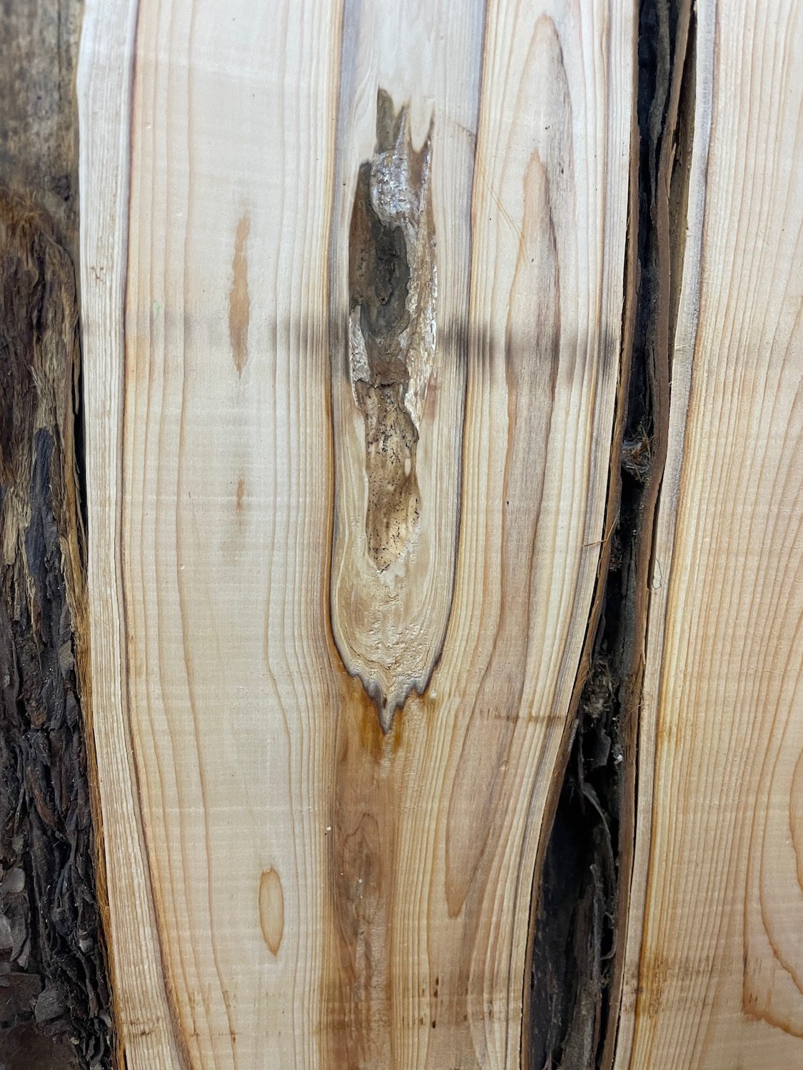 YEW Natural Waney Edge Slab Planed Finish Hardwood Board 1587-5B Thickness 4.5cm Kiln Dried Seasoned Live Edge Wallart Wildwood Offcut - Image 5