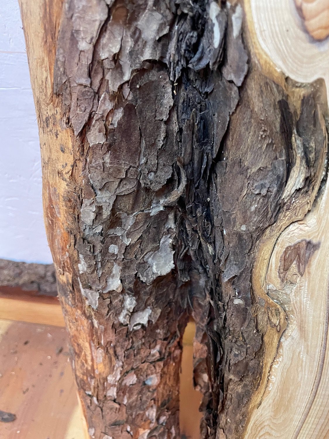 YEW Natural Waney Edge Slab Planed Finish Hardwood Board 1587-5B Thickness 4.5cm Kiln Dried Seasoned Live Edge Wallart Wildwood Offcut - Image 7