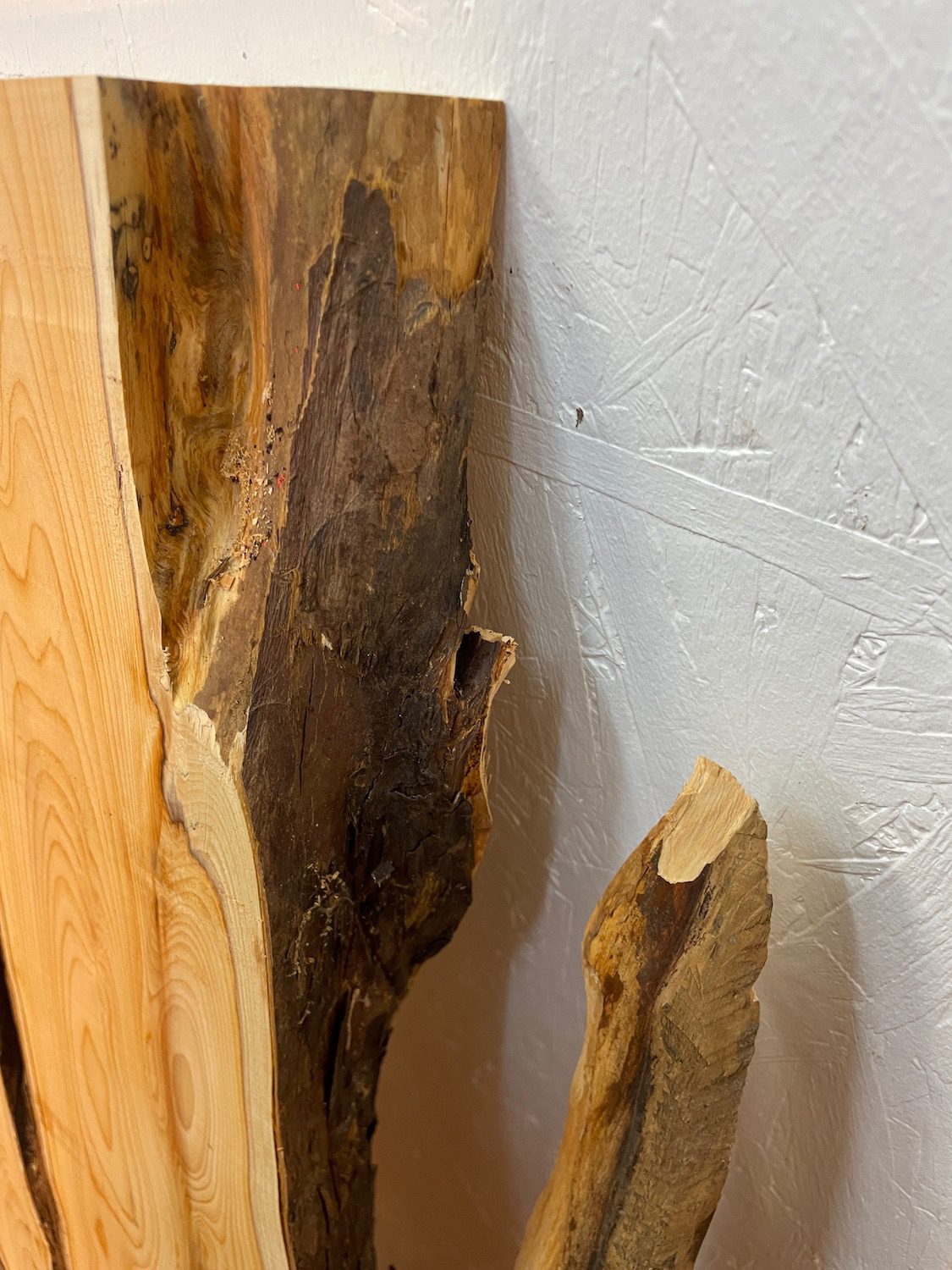 YEW Natural Waney Edge Slab Planed Finish Hardwood Board 1587-5B Thickness 4.5cm Kiln Dried Seasoned Live Edge Wallart Wildwood Offcut - Image 8