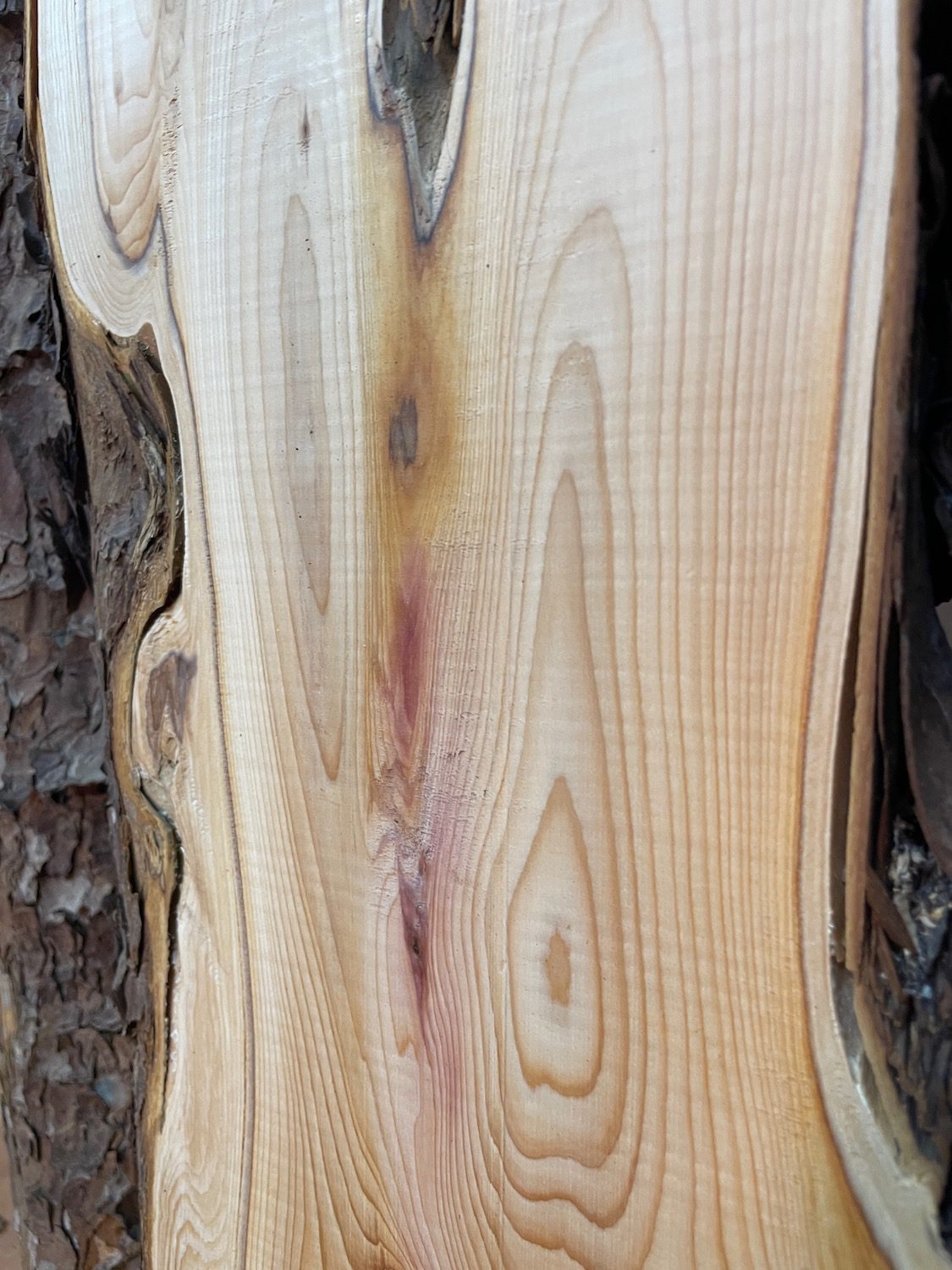 YEW Natural Waney Edge Slab Planed Finish Hardwood Board 1587-5B Thickness 4.5cm Kiln Dried Seasoned Live Edge Wallart Wildwood Offcut - Image 9